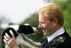 sspca_image.jpeg