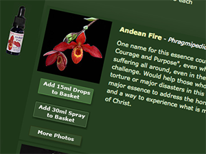 Screenshot-Healing-Orchids-300x225 (2).png