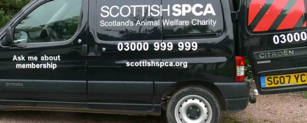 ScottishCPA_membership.jpg