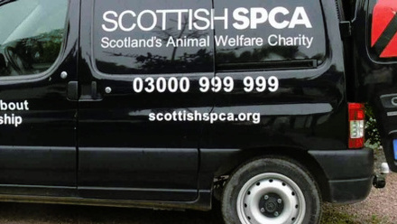 ScottishCPA_membership.jpg